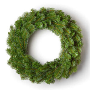 24" King Douglas Fir Wreath Unlit