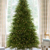 fraser fir christmas trees for sale